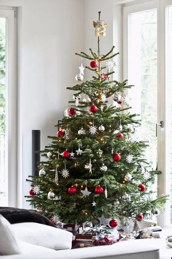 Traditional Christmas Trees Pictures 