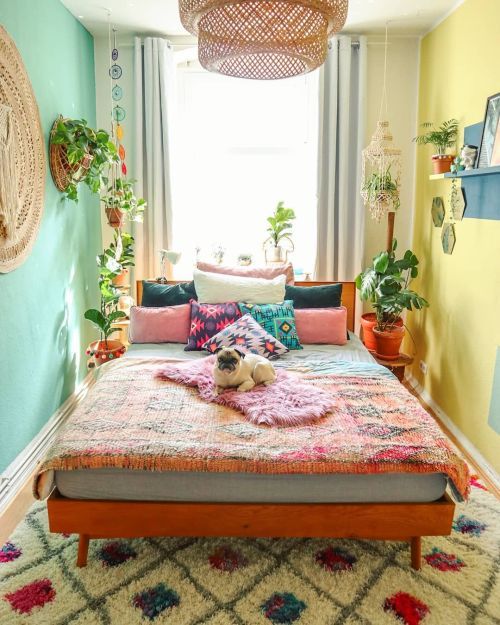 a bright boho bedroom with a mint green and yellow wall, a stained bed with colorful bedding, a bright rug and pillows and potted plants