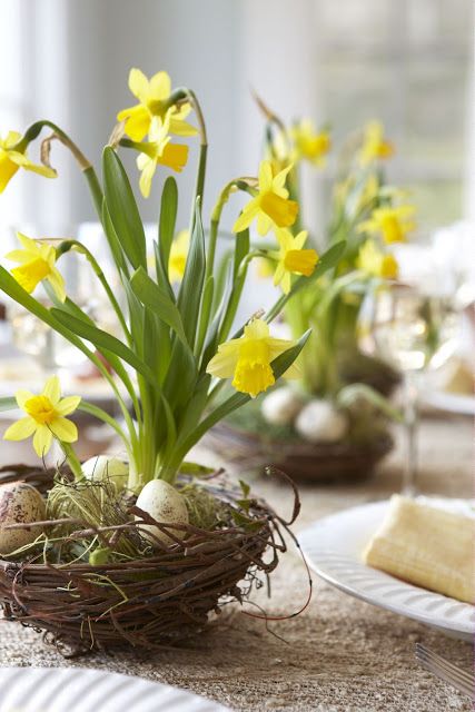 lovely Easter centerpieces of faux nests, speckled eggs, yellow daffodils are amazing for any rustic tablescape