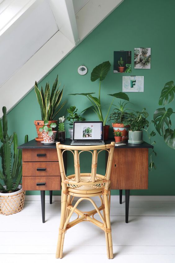 a small and chic attic home office with a green accent wall, a retro desk and a rattan chair, lots of plants and natural light coming through a skylight