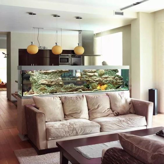 a large fish tank to divide the living room and the kitchen is a very fresh and beautiful option to go for