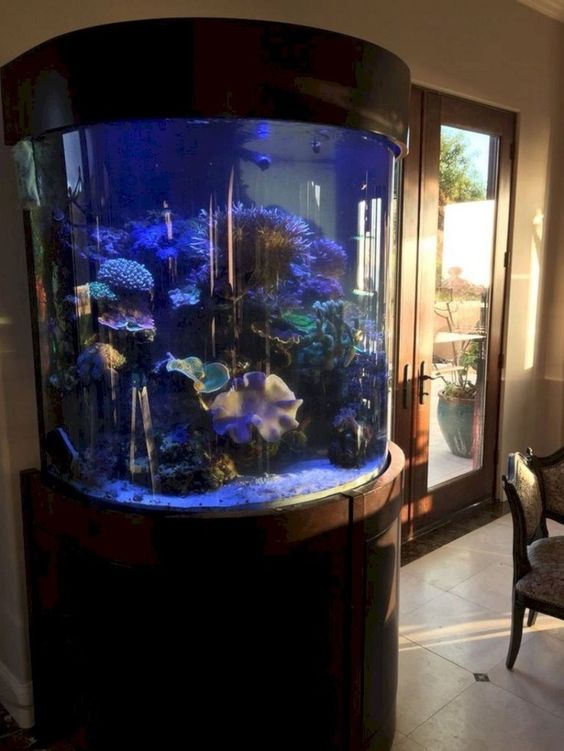 a large round fish tank in the refined space will make it more living, less formal and more cool