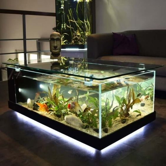 Unusual sales aquarium decorations