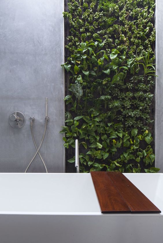 a minimalist bathroom clad with concrete and with a living wall that is a fresh and cool statement for lively decor