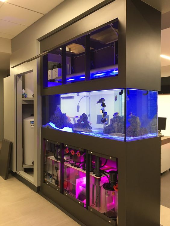 a minimalist space divider with some storage compartments and an aquarium is a very stylish space divider