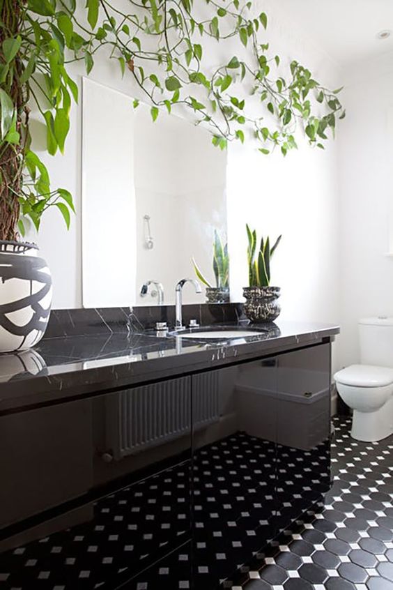 a monochromatic bathroom with a black stone vanity and succulents and a statement climbing plant on the wall