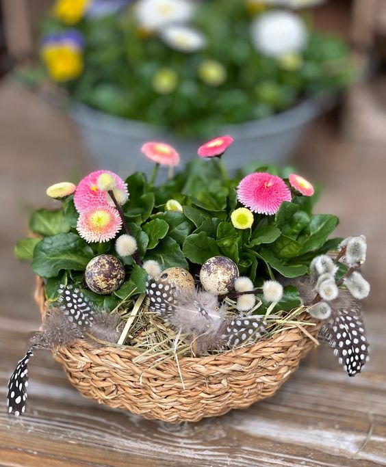 a pretty Easter centerpiece of a basket with potted blooms and greenery, willow, feathers, eggs is amazing