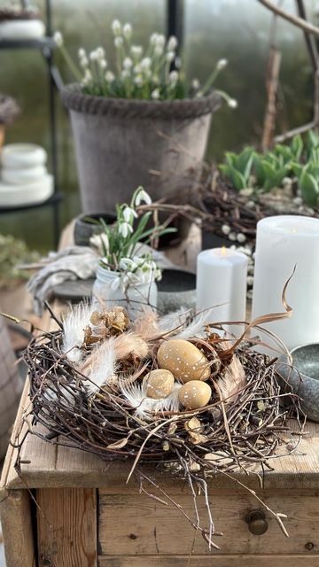 a rustic Easter decoration of a faux nest with fake eggs and feathers is a cool idea for a rustic space