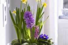 a white basket with moss and yellow and purple sprign bulbs is a gorgeous Easter and spring decoration
