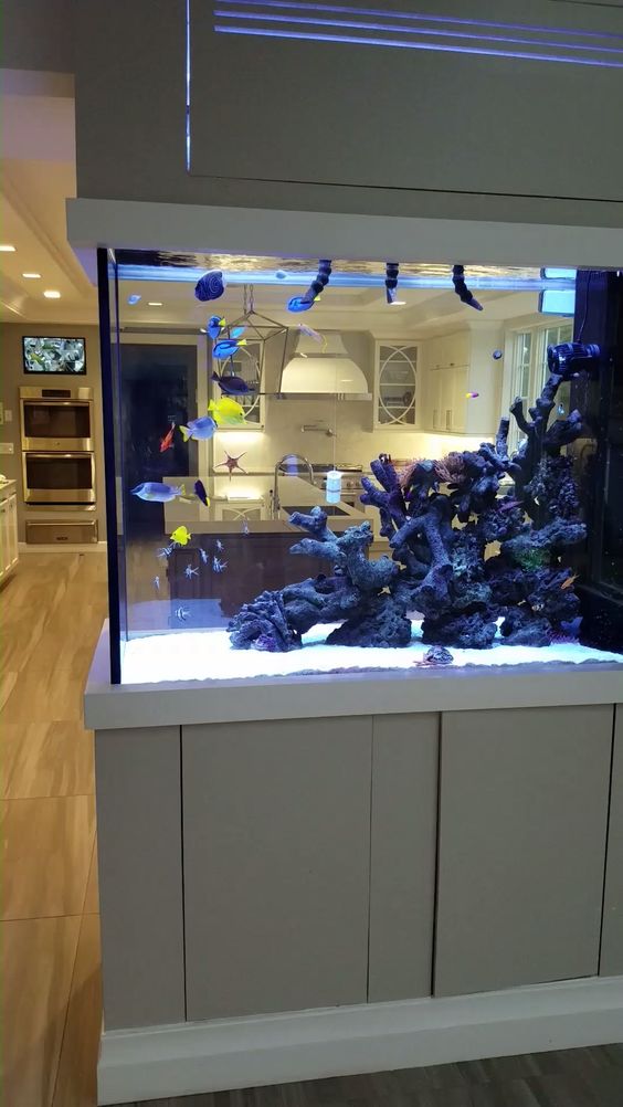 3 Aquarium Decor Ideas That You Must Try | Fish aquarium decorations, Fish  tank decorations, Cool fish tank decorations