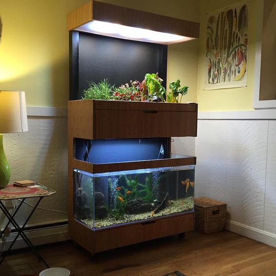 an aquarium with lights and a mini indoor garden is a stylish decoration and a living nook in your home