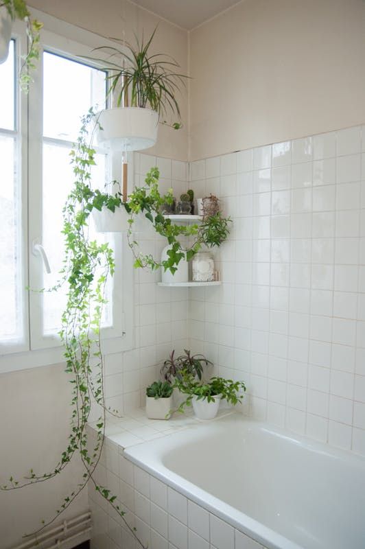 some wall shelves and suspended planters with greenery make the neutral bathroom feel and look very fresh