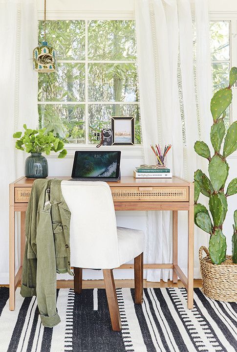 greenery in a vase and a large cactus in a pot refresh the space and make it more bright and welcoming