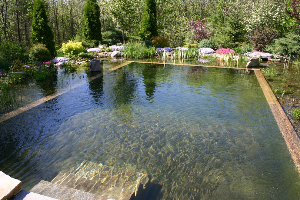 small fish pond design ideas