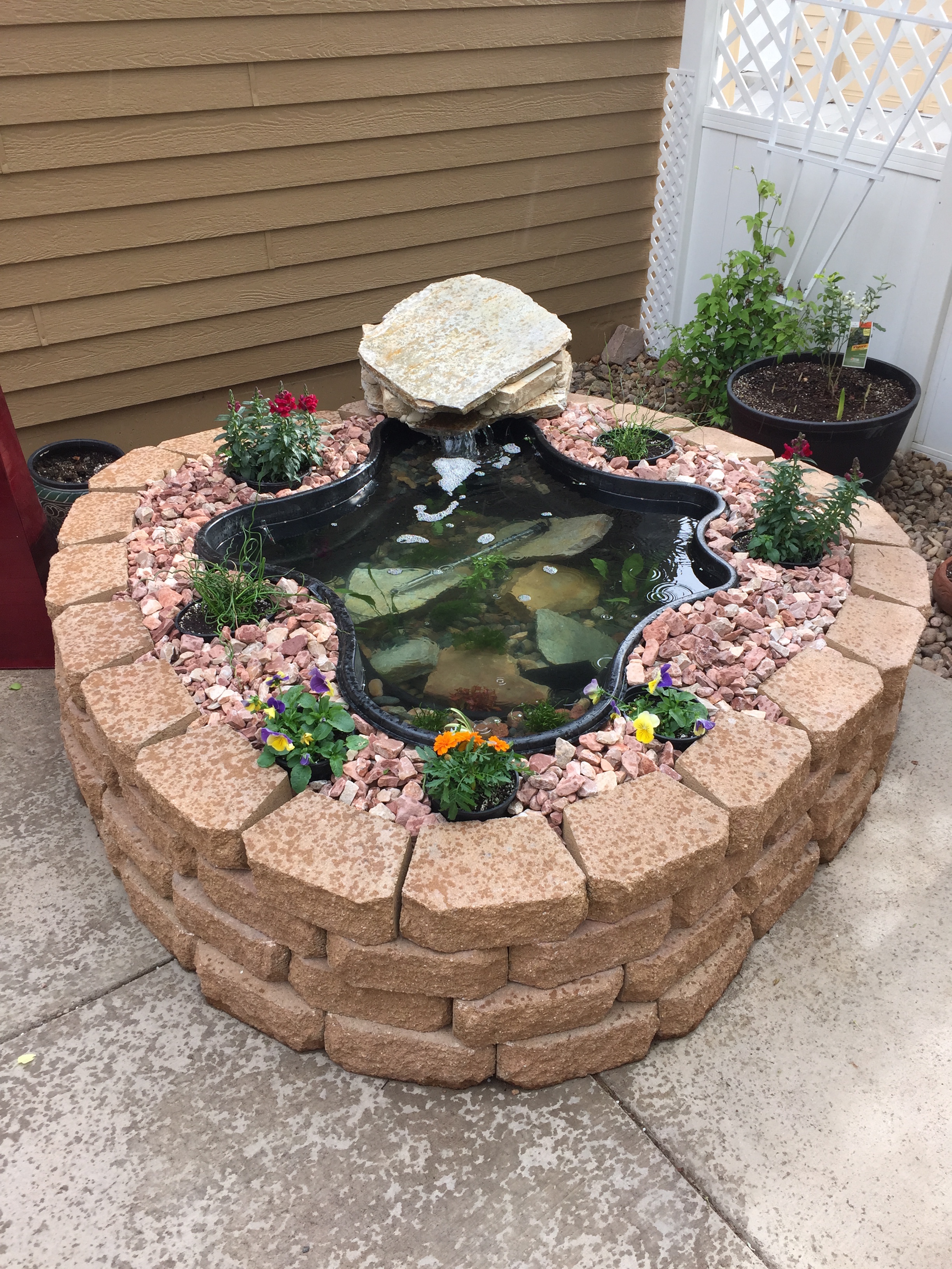 Diy Above Ground Pond