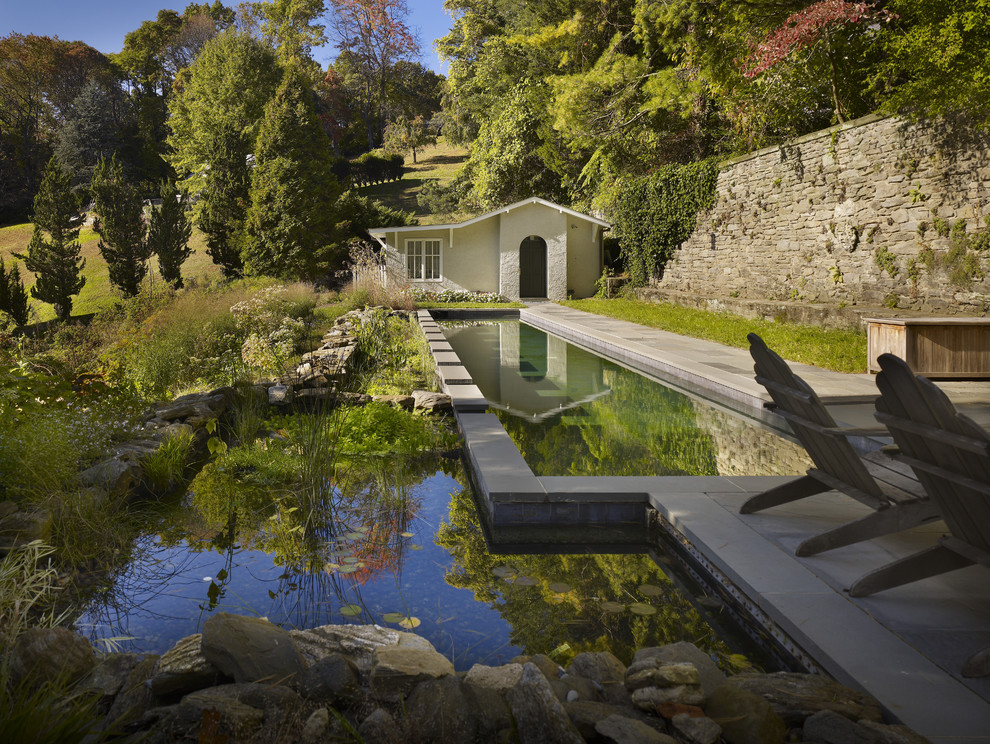 natural swimming ponds could come in different sizes but they are much deeper than organmental ones