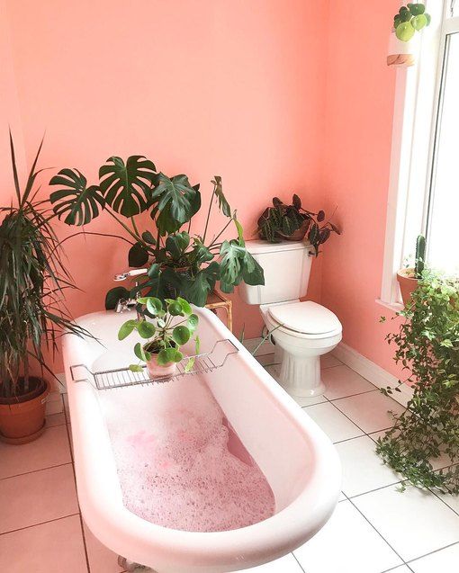 a coral pink bathroom with potted plants, a clawfoot tub and potted cacti is gorgeous and fun
