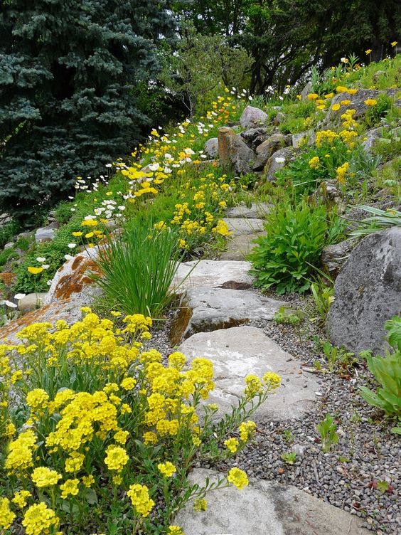 a gravel and stone garden pathway with greenery and bright yelow blooms around is a cool idea for a natural feel