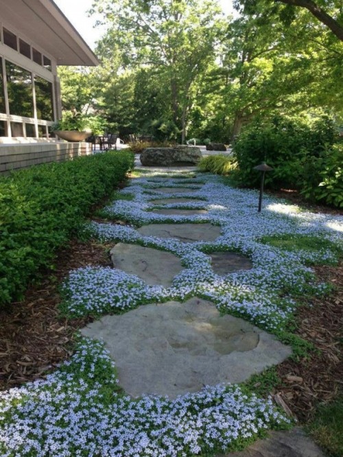 a stone garden path with white blooms and greenery in between looks very chic and very inspiring