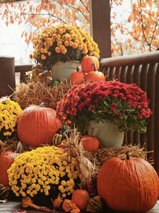 Fall Planters For Front Porch - Easy Front Porch Planters