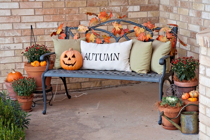 Little pumpkins is a super cute addition to any planter.