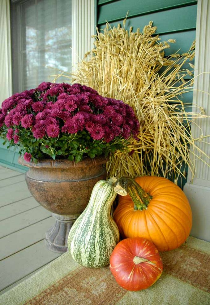 Pumpkins, gourd, plum colored mums in a stone urn, and sheaf of wheat are a simple yet effective display you could arrange.