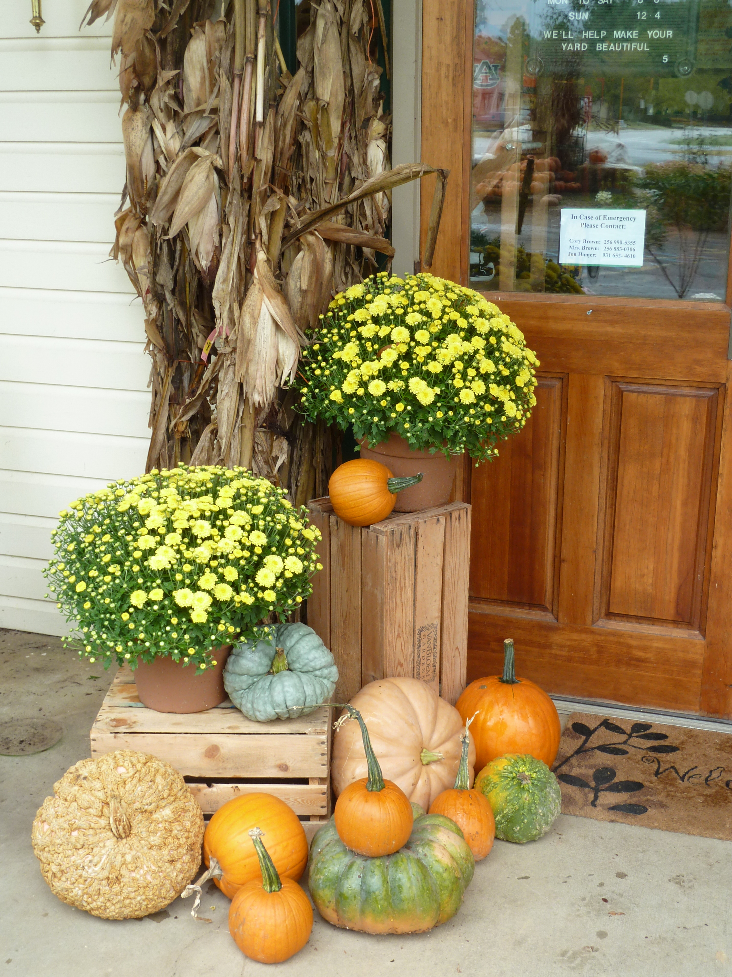 Gourds, pumpkins, crates and fall blooms is an ultimate mix to build a seasonal "altar".
