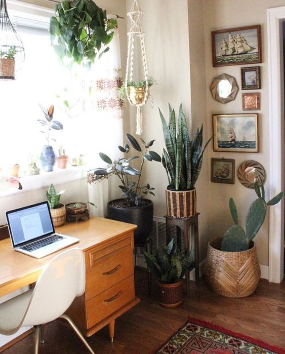 a boho mid-century modern home office with a stylish desk, a white chair, potted plants, a gallery wall and hanging planters