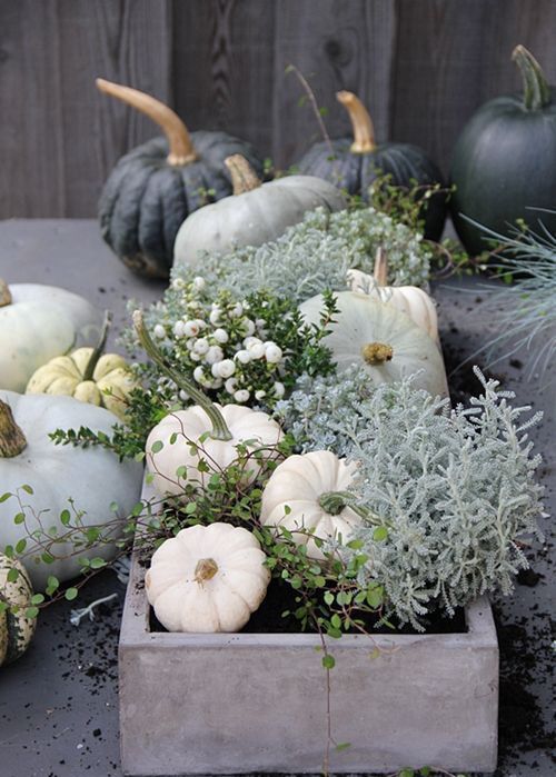 a neutral box with pumpkins, pale greenery, berries, gourds and other stuff is a beautiful arrangement for the fall