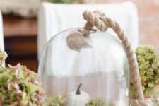 a stylish fall centerpiece of a cloche, neutral pumpkins, green hydrangeas, acorns and a rope piece on top