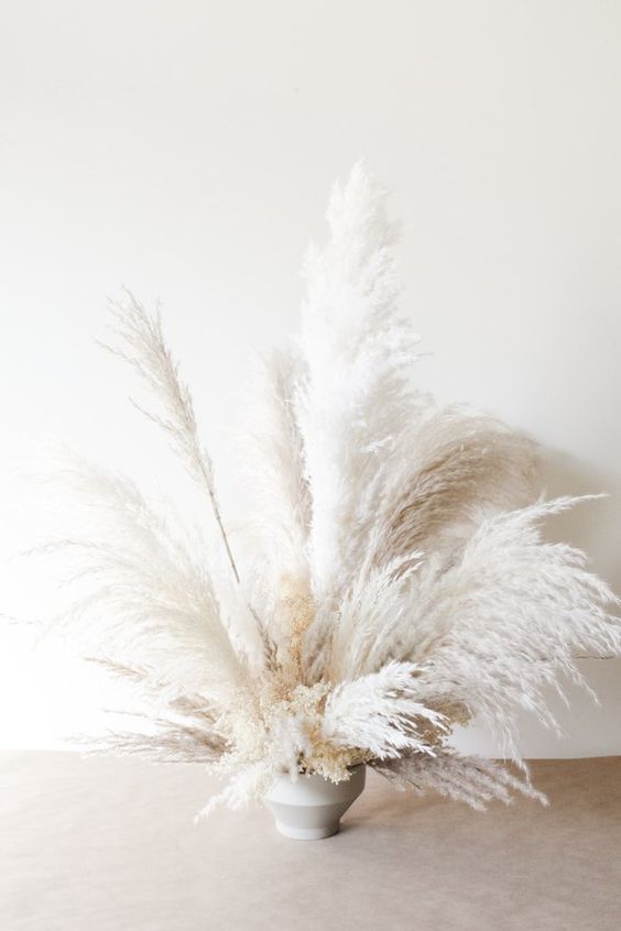 a vase with white pampas grass is a trendy and chic decoration for the fall and not only