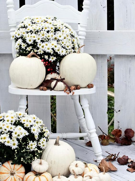 a white vintage chair with white potted blooms, white pumpkins and nuts and acorns feels very natural