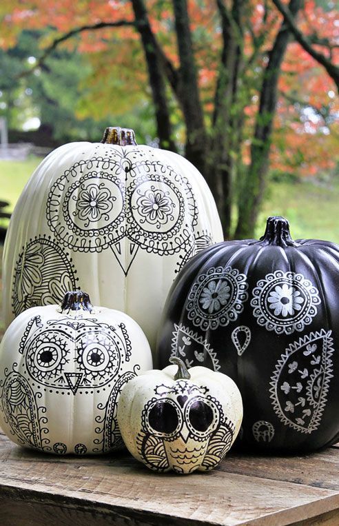 black and white pumpkins with various owls painted on them are very stylish and whimsical