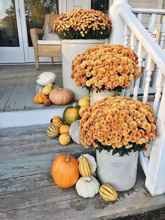 simple outdoor fall decor with pumpkins and gourds plus bright blooms in planters is stylish and will make your front porch inviting