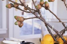 a clear vase with citrus and branches with acorns is a bright fall centerpiece