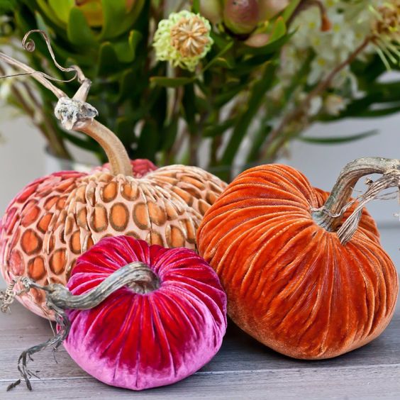 a leopard print, hot pink and rust velvet pumpkins are fun, cool and very chic and bring a touch of luxury
