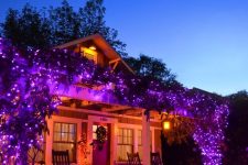 purple lights with lots of foliage is a bold way to decorate your outdoor space for Halloween giving it a desired spirit at once