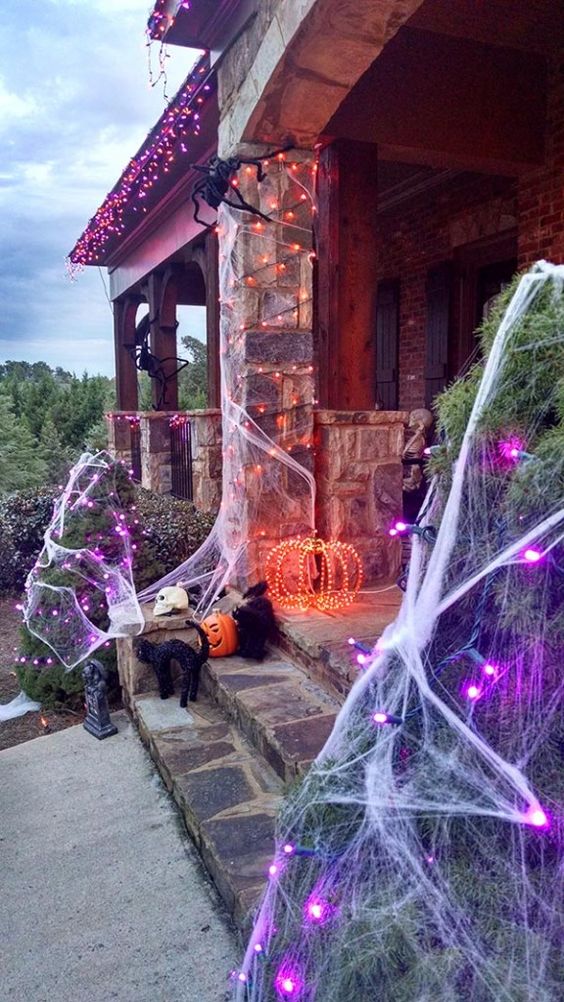 style your outdoors for Halloween with purple and orange lights, with black cats and a light pumpkin plus spiderweb to achieve a bold look