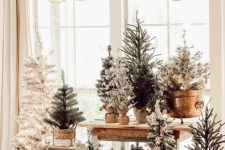 lots of usual, white and flocked Christmas trees in pots and baskets at the window will create holiday cheer easily