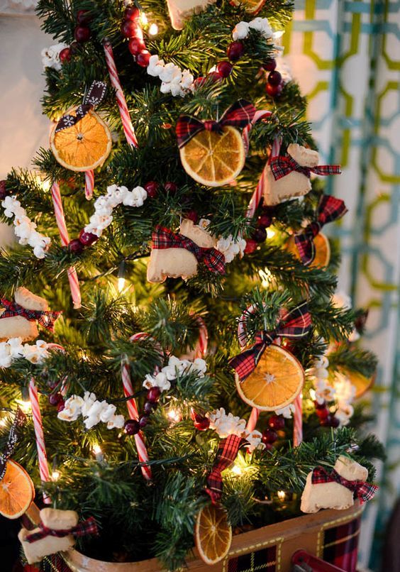 a Christmas tree decorated with popcorn, cranberries, citrus slices, candy canes and lights is amazing and you can DIY such decor