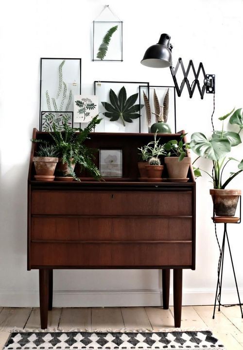 a dark-stained cabinet as a plant stand and botanical artwork in frames is a cool idea for a modern space
