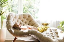 a modern curved reading lounger placed by the window is already taken by a doggie