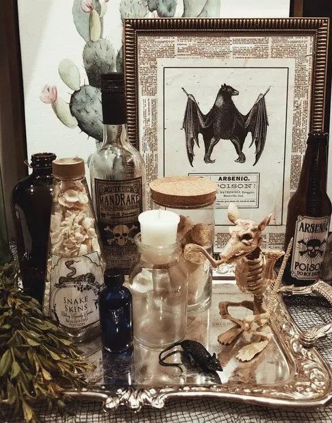 vintage apothecary Halloween decor with a rat skeleton, apothecary bottles, signs and a silver tray is cool and chic