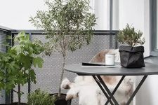 a simple and chic Scandinavian balcony with dark metal furniture, potted plants and trees, candle lanterns and faux fur