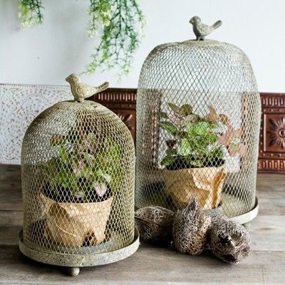 Using Bird Cages For Decor: 66 Beautiful Ideas - DigsDigs