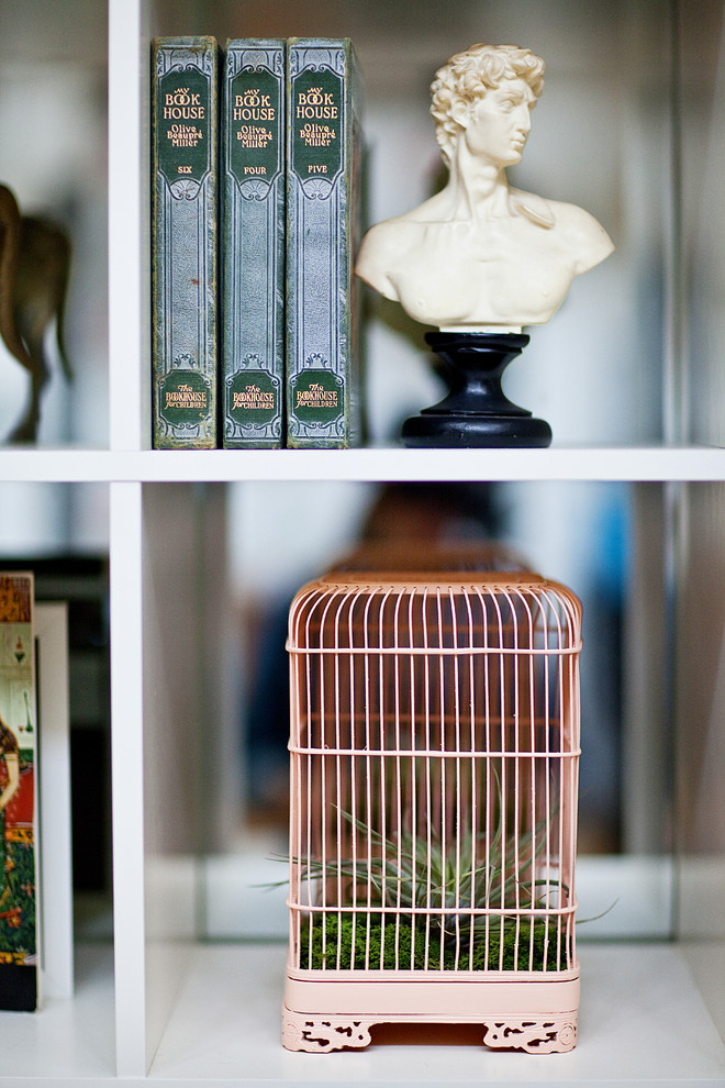 inside bird cages