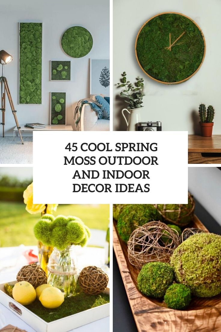 Decorating with Moss  Moss decor, Moss, Moss garden