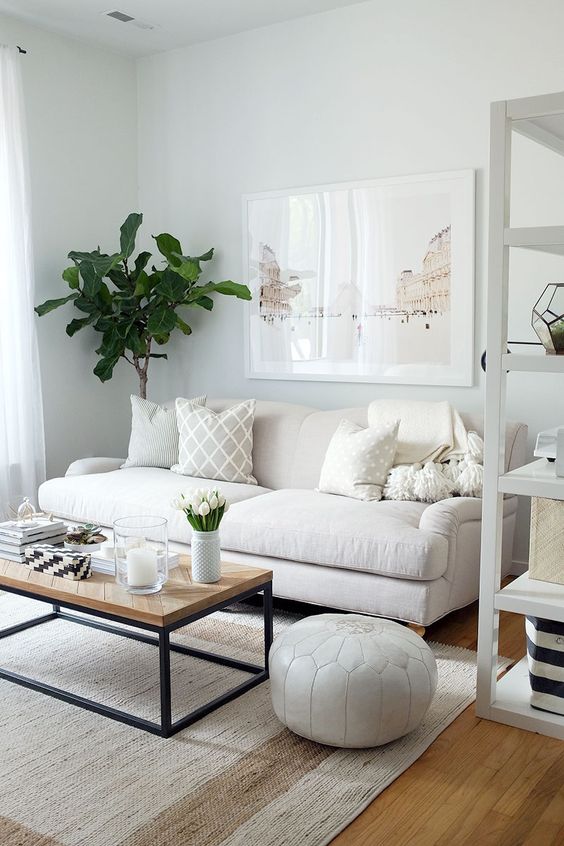 a small neutral living room with a comfy sofa, a low coffee table, a leather pouf, an artwork and a statement plant in the corner