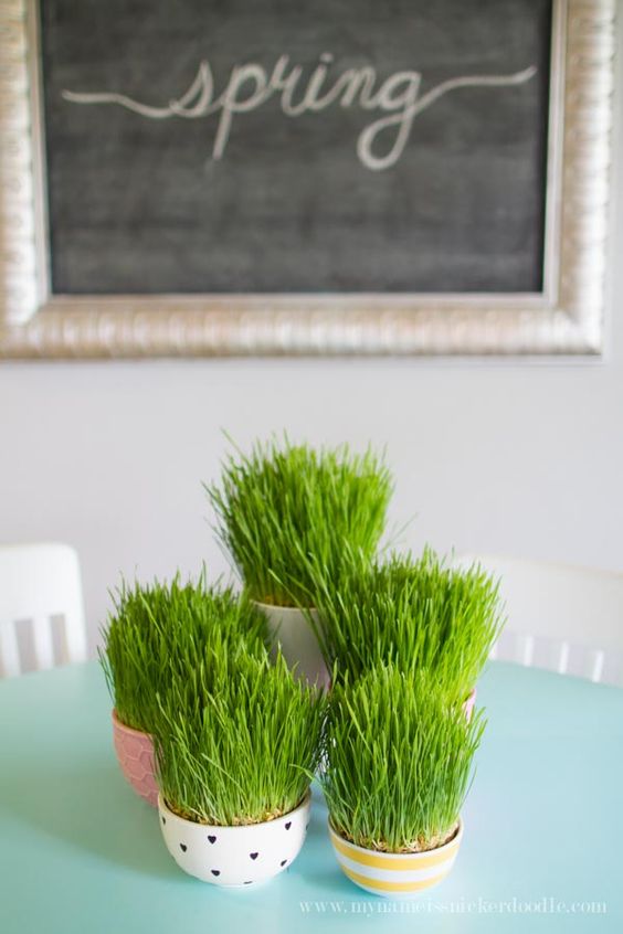 mini colorful planters with striped, heart print and pink pieces and wheatgrass are amazing for spring and Easter decor