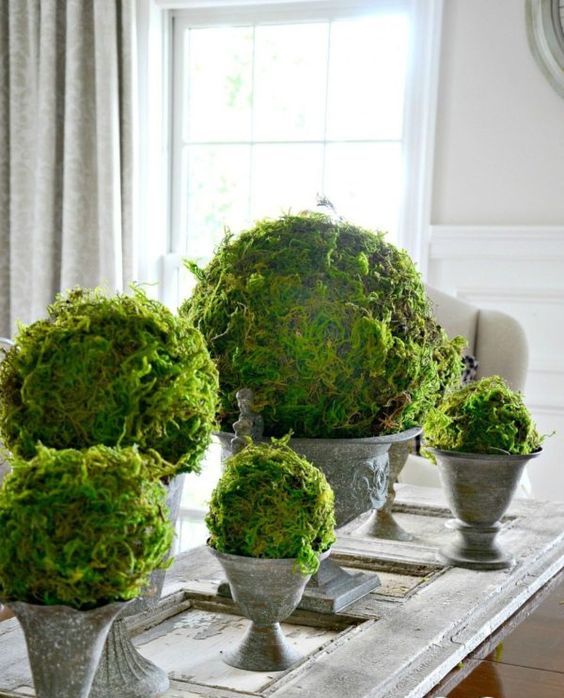 vintage urns with giant moss balls are great to decorate any room with a vintage feel